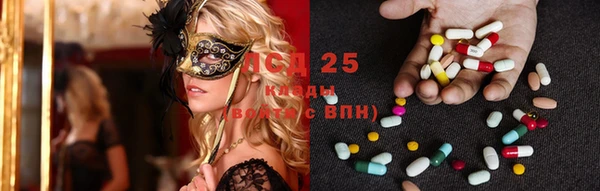 крисы Богданович