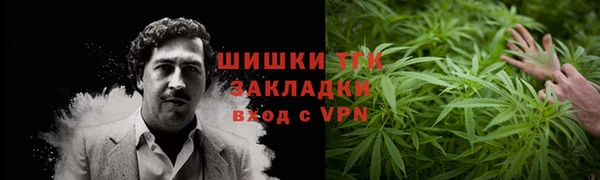 крисы Богданович