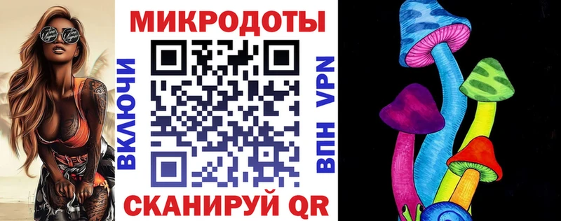 наркота  Дмитровск  Псилоцибиновые грибы Psilocybe 